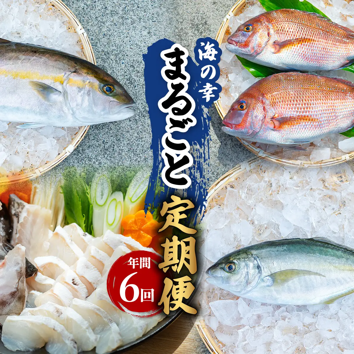【定期便全６回】海の幸まるごと定期便 クエ くえ クエ鍋 タイ たい 鯛 カンパチ かんぱち 勘八 シマアジ しまあじ 伊勢海老 いせえび イセエビ