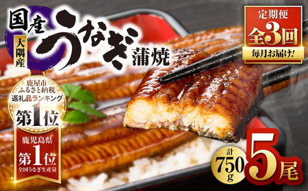 2082-1 鹿児島県 大隅産 うなぎ 蒲焼 5尾（ 750g ）【 3ヶ月 定期 】 KN007-T04 魚 冷凍 鰻