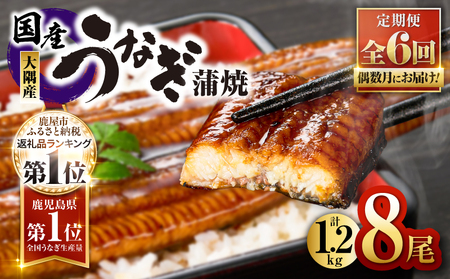2083-1 鹿児島県 大隅産 うなぎ 蒲焼 8尾（ 1.2kg ）【 6ヶ月 定期 】 KN007-T05 魚 冷凍 鰻