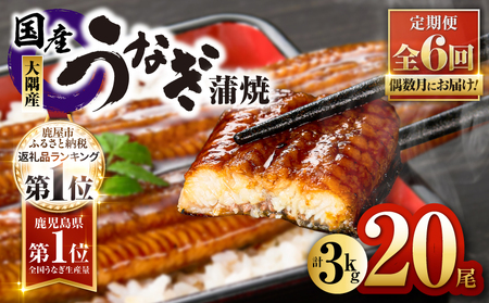 2084-1 鹿児島県 大隅産 うなぎ 蒲焼 20尾（ 3kg ）【 6ヶ月 定期 】 KN007-T06 魚 冷凍 鰻