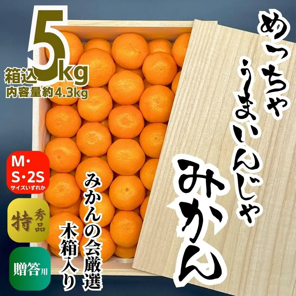 みかん めっちゃうまいんじゃ 木箱入 約5kg（内容量4.3kg） みかんの会厳選 特選品 M S 2S サイズのいずれか 和歌山県産 産地直送 S品 贈答用 ［2026年11月中旬より順次出荷予定］［みかんの会］