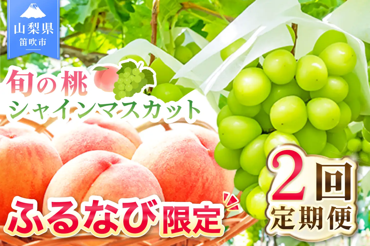 シャインマスカット 桃 【定期便】 計約2kg FN-Limited-SP 180-020-FN