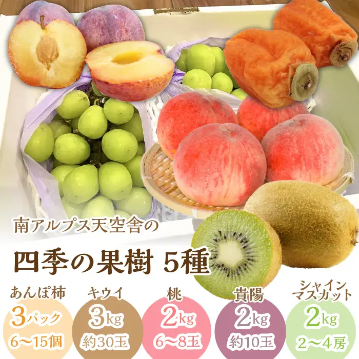 南アルプス天空舎四季の果樹５種（あんぽ柿,キウイ,もも,貴陽,シャインマスカット） ALPAB012