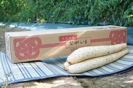 北海道十勝産ながいも 4本セット【B70】