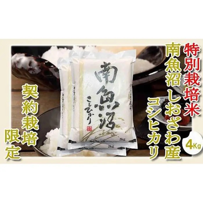 【令和7年産】【精米４Kg】特別栽培 生産者限定  南魚沼しおざわ産コシヒカリ【銘柄米 ブランド米 精米 こしひかり コシヒカリ 魚沼産 新潟米 産地直送 お米 米 こめ コメ ご飯 御飯 ごはん】