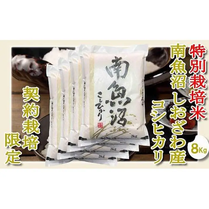 【令和7年産】【精米８Kg】特別栽培 生産者限定  南魚沼しおざわ産コシヒカリ【銘柄米 ブランド米 精米 こしひかり コシヒカリ 魚沼産 新潟米 産地直送 お米 米 こめ コメ ご飯 御飯 ごはん】