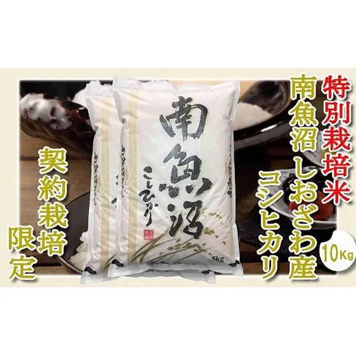 【令和7年産】【精米１０Kg】特別栽培 生産者限定  南魚沼しおざわ産コシヒカリ【銘柄米 ブランド米 精米 こしひかり コシヒカリ 魚沼産 新潟米 産地直送 お米 米 こめ コメ ご飯 御飯 ごはん】