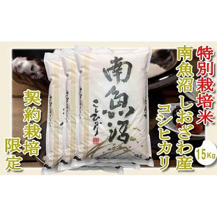 【令和7年産】【精米１５Kg】特別栽培 生産者限定  南魚沼しおざわ産コシヒカリ【銘柄米 ブランド米 精米 こしひかり コシヒカリ 魚沼産 新潟米 産地直送 お米 米 こめ コメ ご飯 御飯 ごはん】