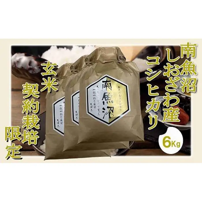 【令和7年産】【玄米６Kg】●玄米● 生産者限定 南魚沼しおざわ産コシヒカリ【銘柄米 ブランド米 玄米 こしひかり コシヒカリ 魚沼産 新潟米 産地直送 お米 米 こめ コメ ご飯 御飯 ごはん】