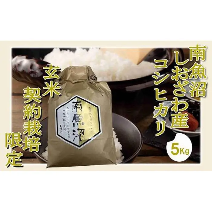 【令和7年産】【玄米５Kg】●玄米● 生産者限定 南魚沼しおざわ産コシヒカリ【銘柄米 ブランド米 玄米 こしひかり コシヒカリ 魚沼産 新潟米 産地直送 お米 米 こめ コメ ご飯 御飯 ごはん】