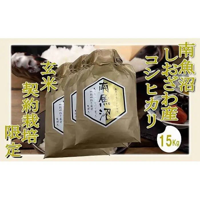 【令和7年産】【玄米１５Kg】●玄米● 生産者限定 南魚沼しおざわ産コシヒカリ【銘柄米 ブランド米 玄米 こしひかり コシヒカリ 魚沼産 新潟米 産地直送 お米 米 こめ コメ ご飯 御飯 ごはん】