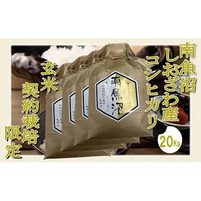 【令和7年産】【玄米２０Kg】●玄米● 生産者限定 南魚沼しおざわ産コシヒカリ【銘柄米 ブランド米 玄米 こしひかり コシヒカリ 魚沼産 新潟米 産地直送 お米 米 こめ コメ ご飯 御飯 ごはん】