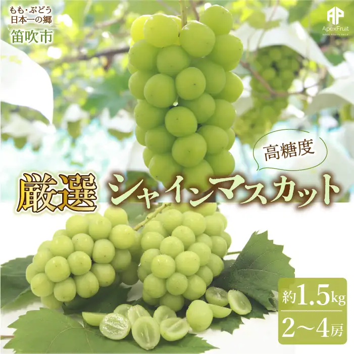 【2026年発送★先行予約】笛吹市産　シャインマスカット　約1.5kg（2～4房）205-007ｰ26y