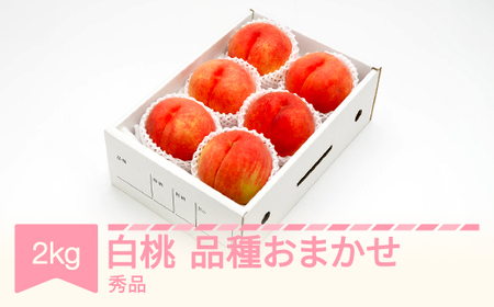 先行予約 白桃 秀品 品種おまかせ 化粧箱入り 約2kg 令和八年産 2026年産 山形県産 果物 フルーツ 桃 送料無料 ns-mohtx2