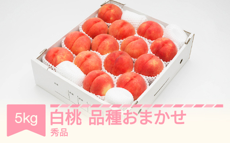 先行予約 白桃 秀品 品種おまかせ 化粧箱入り 約5kg 令和八年産 2026年産 山形県産 果物 フルーツ 桃 送料無料 ns-mohtx5