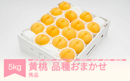 先行予約 有袋黄桃 秀品 品種おまかせ 化粧箱入り 約5kg 令和8年産 2026年産 山形県産 果物 フルーツ 桃 送料無料 ※沖縄・離島への配送不可 ns-mootx5