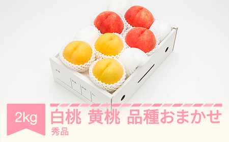 先行予約 白桃＆有袋黄桃 秀品 品種おまかせ 化粧箱入り 約2kg 令和八年産 2026年産 山形県産 果物 フルーツ 桃 送料無料 ns-mohot2