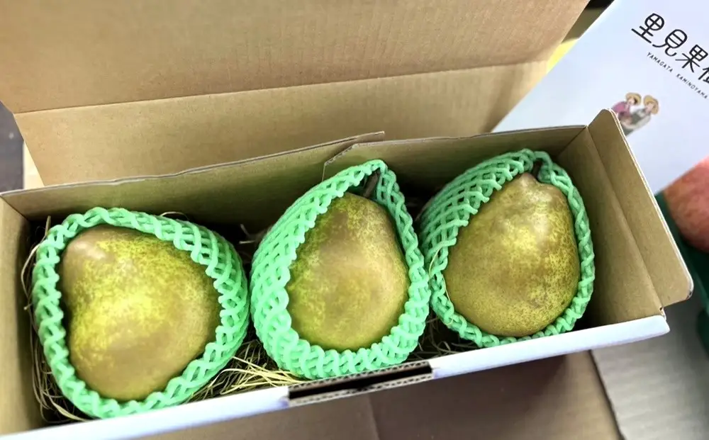西洋梨（ラ・フランス）大玉　３玉　秀品　0079-2616