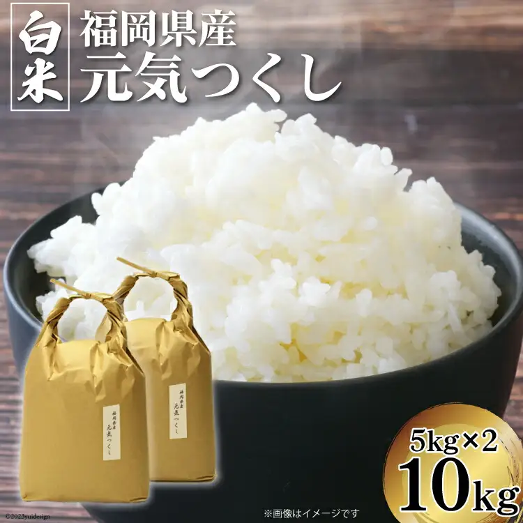 米 令和7年 元気つくし 精米 5kg × 2袋 計 10kg [ベネフィス 福岡県 筑紫野市 21760895]