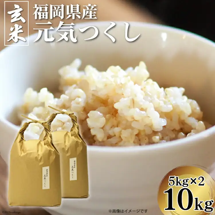 米 令和7年 元気つくし 玄米 5kg × 2袋 計 10kg [ベネフィス 福岡県 筑紫野市 21760853]