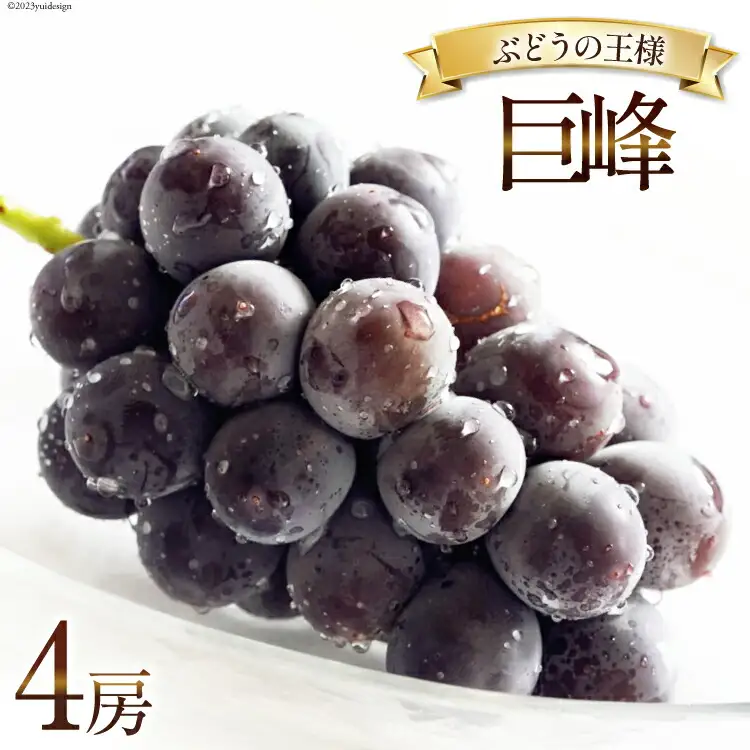【2026年発送】ぶどう 先行受付 巨峰 約 450g 4房 計約 1.8kg [Inakakara 山梨県 韮崎市 20745261]