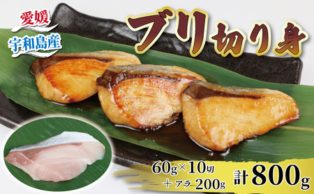 【鰤】 切り身 アラ 800g 河野鮮魚店 鰤 D010-177007