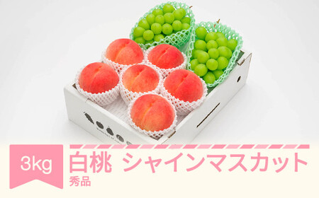 先行予約 白桃＆シャインマスカット詰め合わせ 約3kg 2026年産 ns-fshsx3