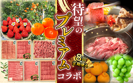 待望のプレミアムコラボ【8回】定期便CA