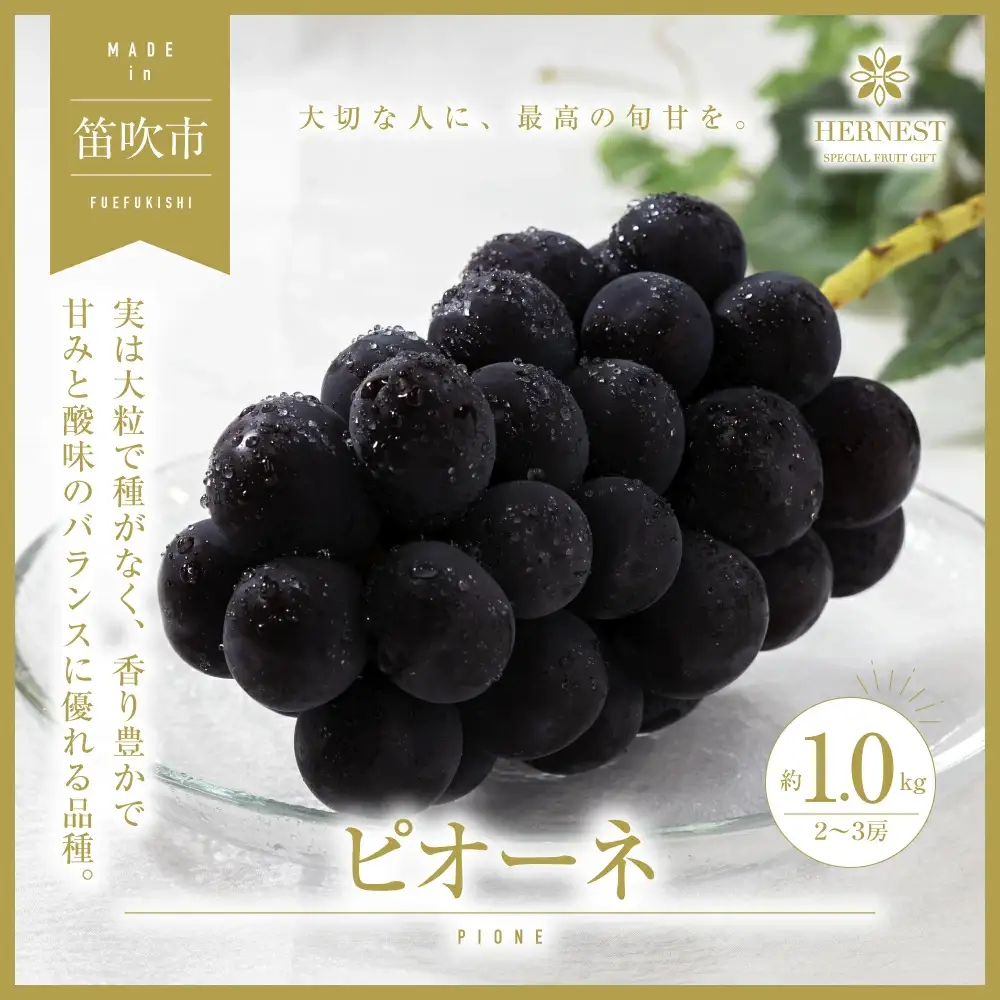 【2026年発送★先行予約】山梨県笛吹市産　旬の採れたてピオーネ　約1kg　2～3房 105-014-26y