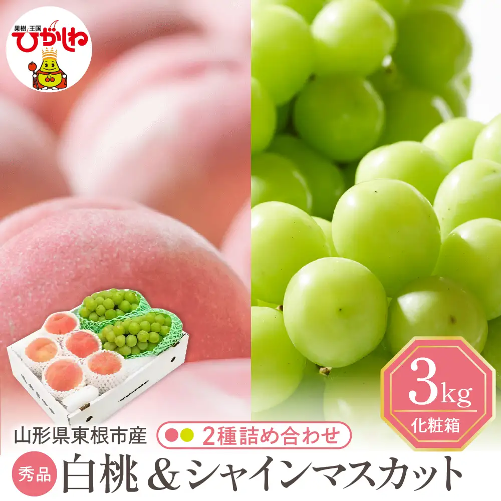 2026年産 白桃 シャインマスカット 詰め合わせ 3kg フルーツ