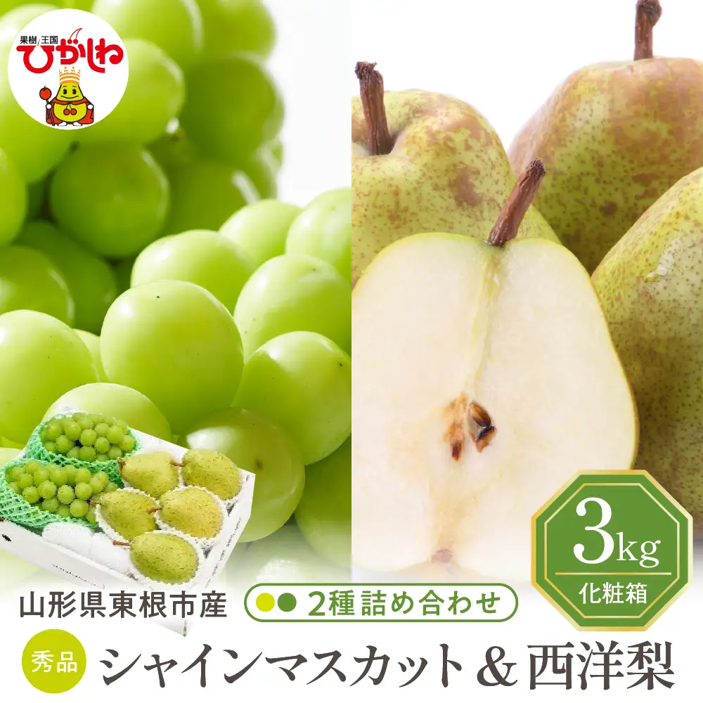 2026年産 シャインマスカット 西洋梨 詰め合わせ 3kg フルーツ