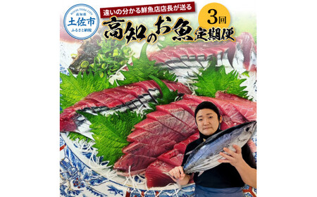 【3回定期便】違いの分かる鮮魚店店長が送る 高知のお魚定期便！！ 海鮮 魚 さかな 新鮮 カツオのタタキ 金目鯛 真鯛 ネギトロ 天然アユ など 旬 季節【さかなの森澤　マル祐】 [BQAM008]