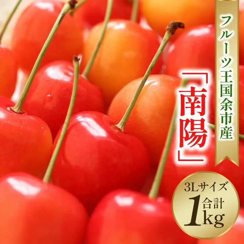 2026年発送【先行予約】令和8年産 南陽【3Lサイズ】500g×2【ニトリ観光果樹園】余市 北海道 フルーツ王国 さくらんぼ サクランボ 桜桃 南陽 余市産さくらんぼ 人気さくらんぼ ニトリ_Y074-0142