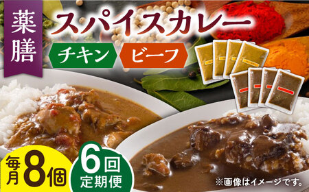 【6回定期便】薬膳スパイスカレー 計8食 チキン・ビーフ /自然庵 [UCQ011] カレー