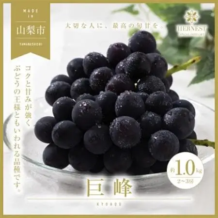 【2026年発送】山梨県山梨市産　旬の採れたて巨峰　約1kg　2～3房【配送不可地域：離島】【1459462】