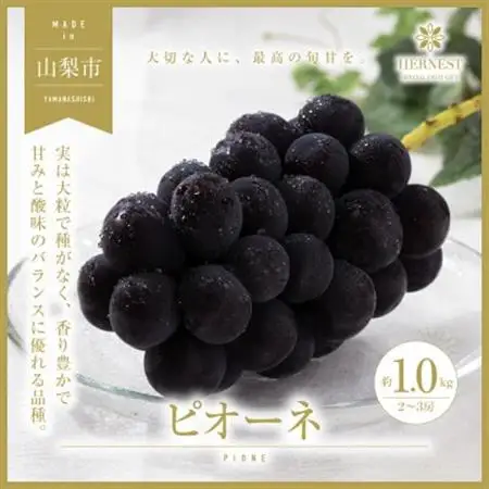 【2026年発送】山梨県山梨市産　旬の採れたてピオーネ　約1kg　2～3房【配送不可地域：離島】【1459463】