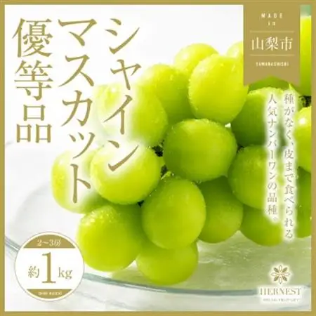 2026年発送【訳あり】山梨県山梨市産 旬の採れたてシャインマスカット 優等品約1kg2～3房【配送不可地域：離島】【1459692】
