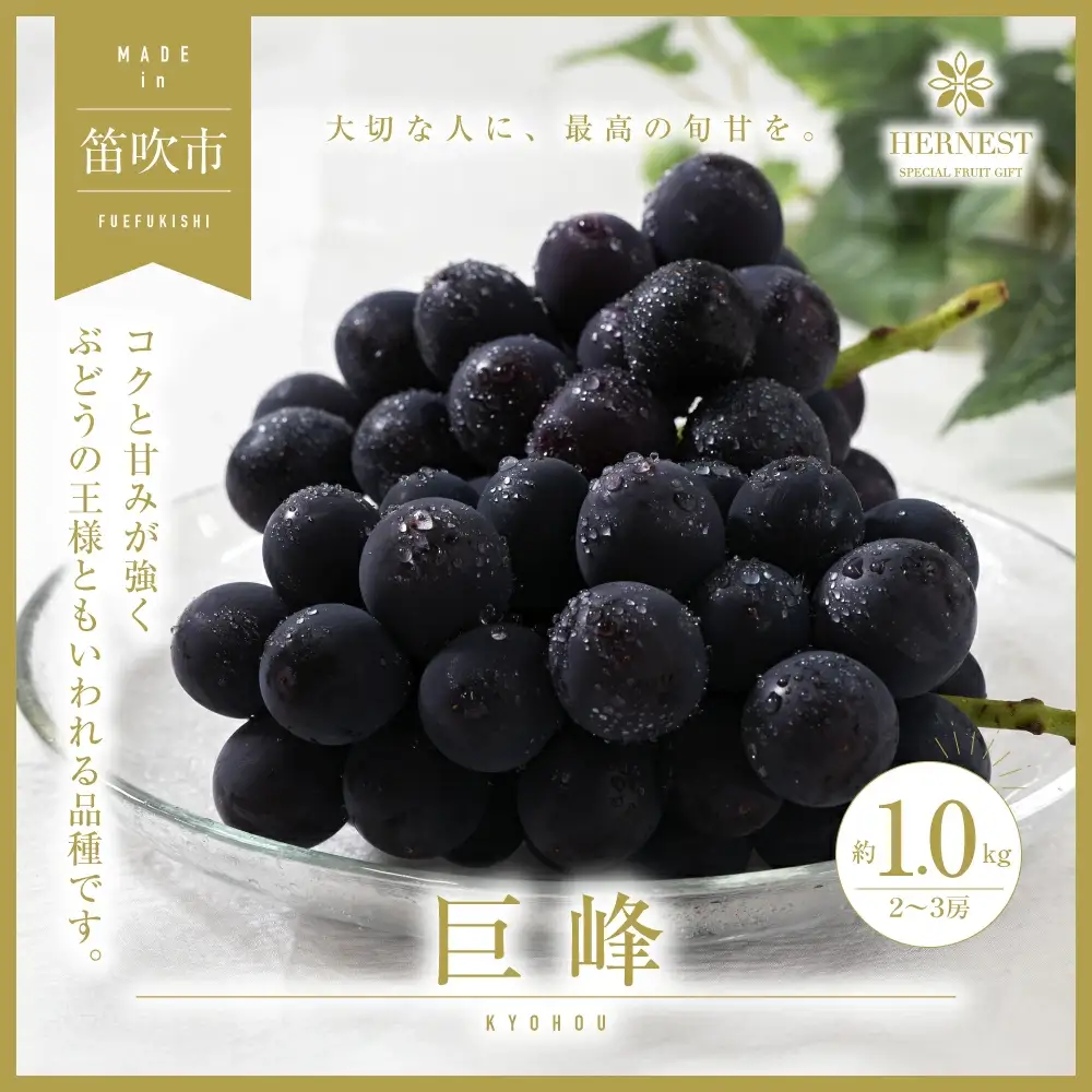 【2026年発送★先行予約】山梨県笛吹市産　旬の採れたて巨峰　約1kg　2～3房 105-015-26y