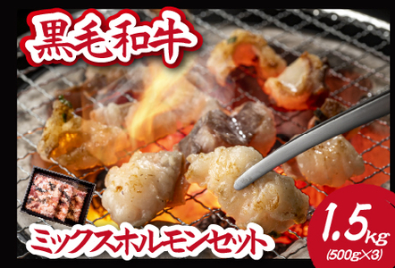 【自社農場和牛】黒毛和牛ミックスホルモン 1.5㎏（国産 黒毛和牛 牛肉 ホルモン 焼肉 BBQ 冷凍 送料無料） 焼肉 和牛焼肉 牛肉焼肉 ホルモン焼肉 国産焼肉