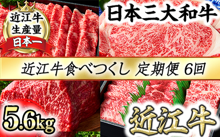 近江牛 食べつくし 定期便 6回 焼肉 すきしゃぶ ステーキ 【FO17W】 【 近江牛 】 牛肉
