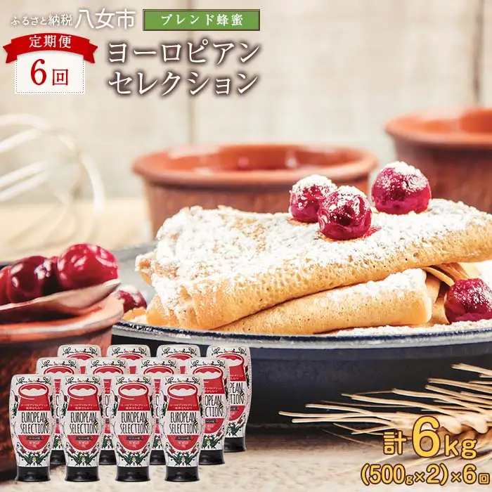 【全6回】 定期便（EU500g×2） かの蜂 純粋蜂蜜 合計6kg（ヨーロピアンセレクション500gを毎月2本お届け） 024-T008