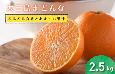 【先行予約】【数量限定】【2027年1月中旬より順次発送】ホリ田ヤ 大三島まどんな 2.5キロ【KB00810】