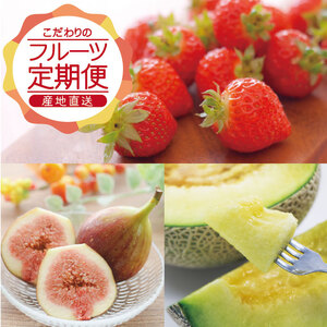 SE0463　【3回定期便】農家直送 こだわりのフルーツ定期便2026 (いちご、庄内メロン、いちじく)