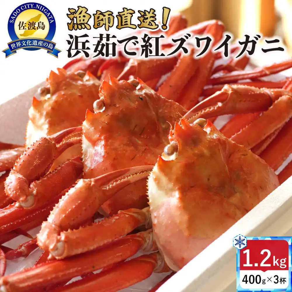 【ふるさと納税】『冷凍』佐渡島直送！浜茹で紅ズワイガニ（1杯400g/3杯）