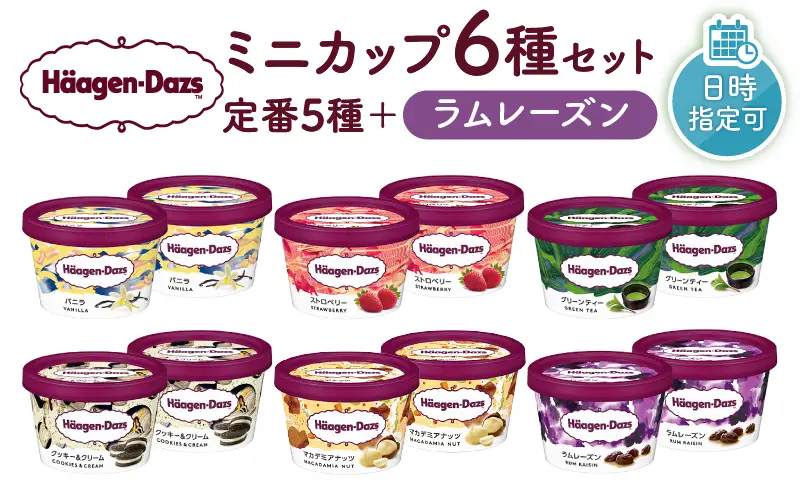 【着日指定できます】ハーゲンダッツ 『ミニカップ12個(定番＆ラムレーズン)』  アイス アイスクリーム_H0016-113