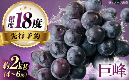 【先行予約】巨峰 約2kg1箱（4房から6房） BKCW003