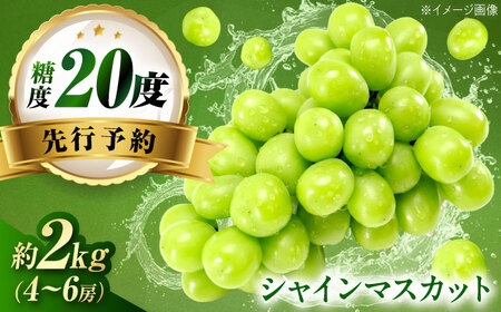 【先行予約】シャインマスカット 約2kg1箱（4房から6房） BKCW005 マスカット