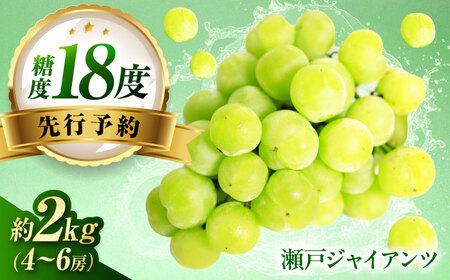 【先行予約】瀬戸ジャイアンツ 約2kg1箱（4房から6房） BKCW001 ぶどう