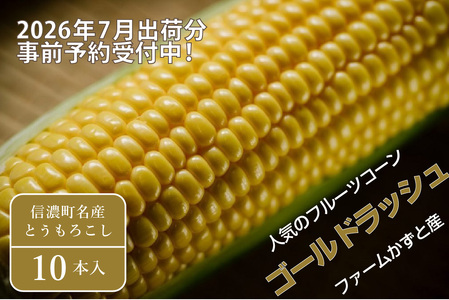 2026年夏のご予約受付開始！ 信濃町名産とうもろこし『ファームかずとのゴールドラッシュ 10本セット』粒皮が薄く生でも食べられる、フルーツを凌ぐほどの甘いとうもろこし 朝採れを農場から直送　令和8年7月下旬～8月下旬出荷分 先行予約【長野県信濃町ふるさと納税】