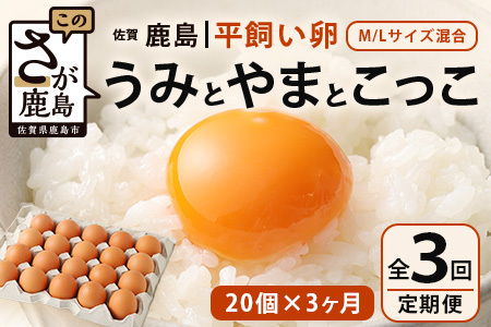 【定期便 3回】平飼い卵「うみとやまとこっこ」上田養鶏場 たまご20個 × 3ヶ月【合計60個】佐賀県鹿島産 卵 タマゴ C-112